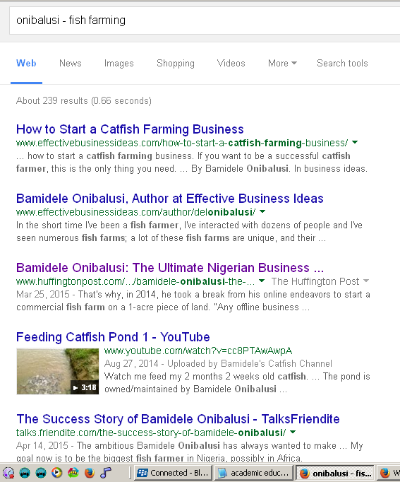 Screenshot - Bamidele Onibalusi - Google results page on his articles for other farm business owners and those aspiring!