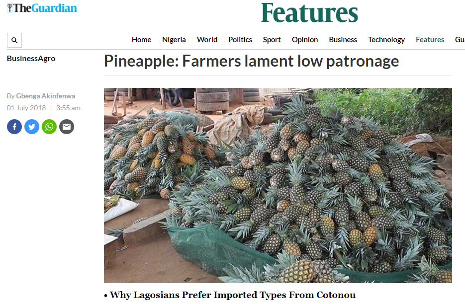 pineapple-farmers-lament