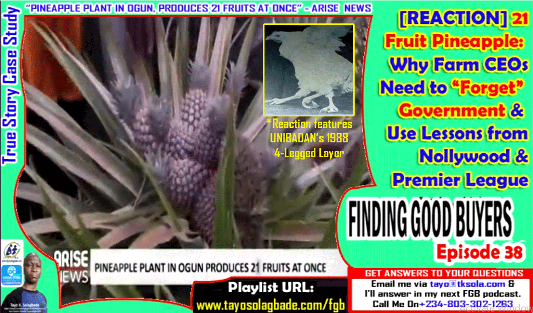 [REACTION] 21 Fruit Pineapple: Why Farm CEOs Need to “Forget” Government & Use Lessons from Nollywood & Premier League