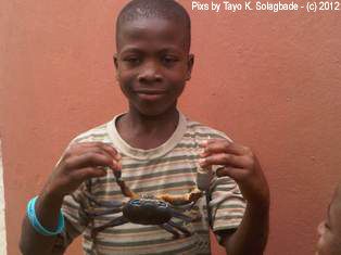 My second son shows off his newly acquired skills in handling crabs. I got into trouble while attending Government College Ojo back in 1980 for bringing crabs, and turtles home from a fishing settlement my rascally friend took me. I learnt how to catch crabs then. 